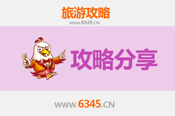 迪庆维西至湄洲岛旅游攻略：跟团还是自由行选择指南